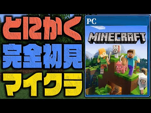 超初心者が20時間プレイするとどのぐらい進むのか？【完全初見マインクラフト】 第1章