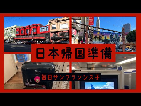 【これで日本帰国出来そう】車上荒らし | イタリア家族訪問🇮🇹