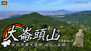 大崙頭山/台北小溪頭!溫水煮青蛙不費力路線-臺灣小百岳No.8