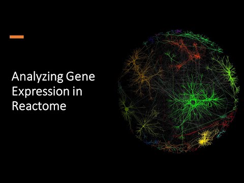 Analyzing Gene Expression in Reactome