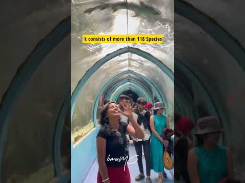 Lokaranjana Aqua World underwater zoo, Mysore #mysore