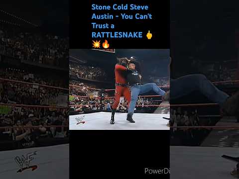 Stone Cold Steve Austin - You Can't Trust a RATTLESNAKE #shortsfeed #shorts #wwe