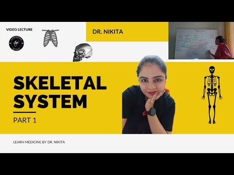 Skeletal System- Part 1