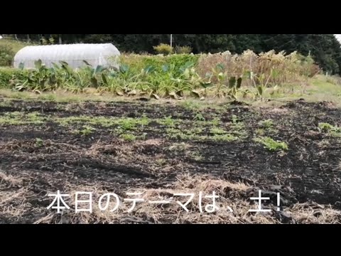 畑を耕す。土を作る。種を植える。命を頂く。土に還る。