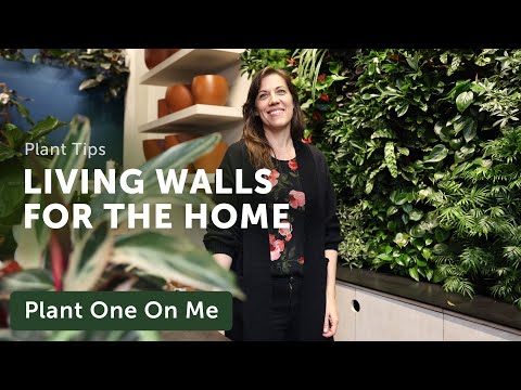 LIVING WALLS & VERTICAL GARDEN Systems — Ep. 366