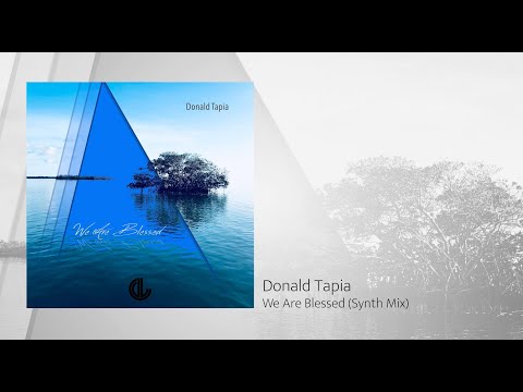 Donald Tapia - We Are Blessed (Synth Mix)