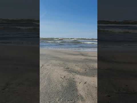 #nature #beach #naturelovers #shorts #shortvideo #yt  #ytshorts  #rothel13