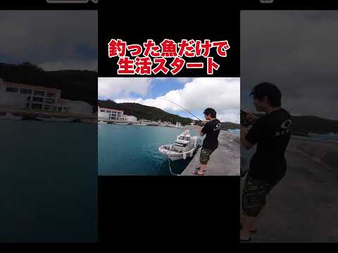 観光客に無理やり釣りサバイバル生活をさせる動画#釣り#沖縄#慶良間釣り