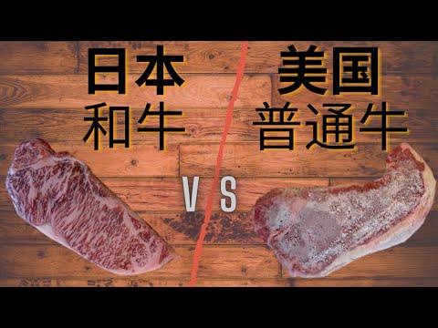 体验Costco和牛（日本A5）对比美国牛排 | Costco Japanese A5 Wagyu Steak vs USDA Prime