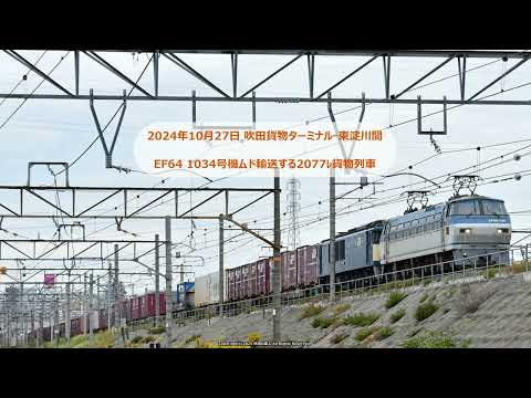 坂を駆け上がってくるEF64 1034 号機ムド輸送する2077ﾚ貨物列車の撮影です。（R6.10.27）