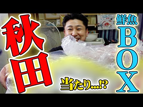 【★4.5】全部が美味しい秋田の鮮魚ボックスがおすすめ過ぎた！！