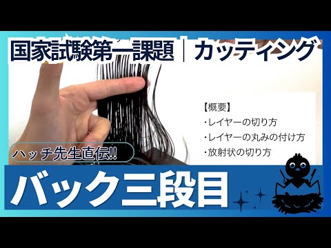 カット⑤バック３段目|美容師国家試験カット手順とカットのコツ