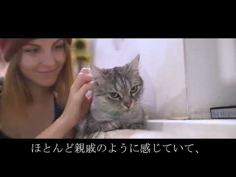 赤ちゃんの傷を見て心配した母親。カメラを設置し、そこに映った猫の行動に母親は涙・・・