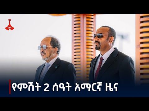 የምሽት 2 ሰዓት አማርኛ ዜና . . .ጥር 03/2017 ዓ.ም     #etv #EBC #ebcdotstream #zenaethiopia #ዜናኢትዮጵያ