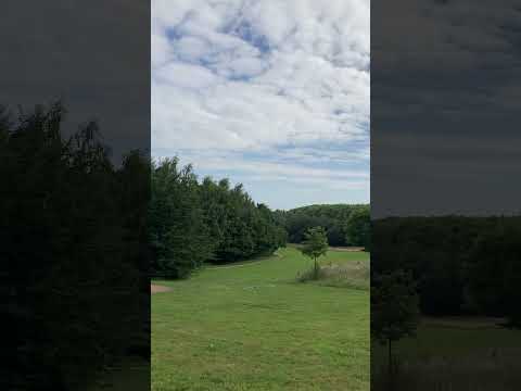 Life, the sky, the trees a running dog, life! A mindful moment to enjoy it #shorts #mindful  #nature