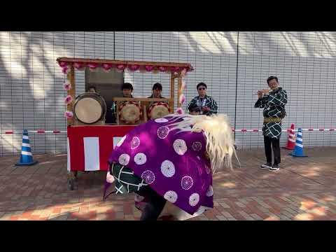 2023年11月19日調布市農業祭① 小島町はやし連