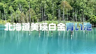 北海道美瑛白金【青い池】『記憶に残る景色をありがとう』