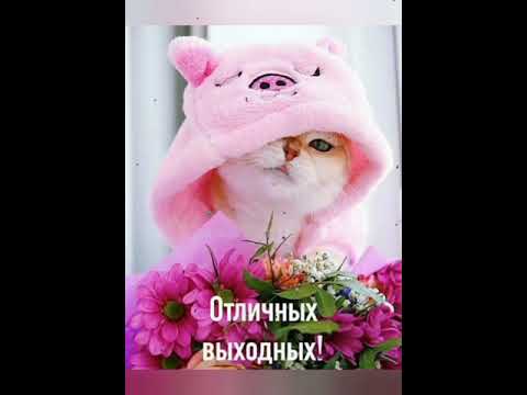 🐰 Классных выходных! Ведь на улице ещё лето!