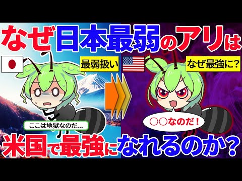 なぜ日本で最弱のアリは欧米では最強なのか？【ずんだもん ゆっくり解説】