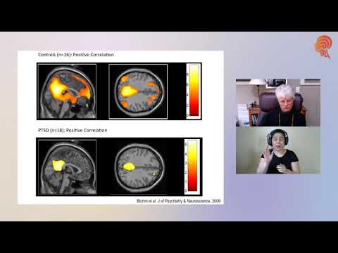 Sebern Fisher Live Stream Interview about Trauma and the Fear-Driven Brain intensive course