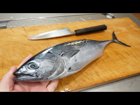 スマガツオの捌き方と漬けの作り方-How to filet Skipjack and make sashimi(duke)-