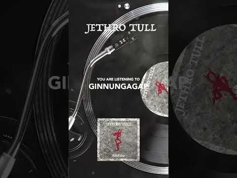 Jethro Tull – Ginnungagap #shorts #rokflote #jethrotull