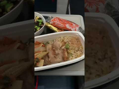 Delta airlines food. #bicolvlog #reelsvideoyoutube