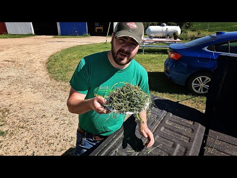 Easy Forage Moisture Test For Baleage