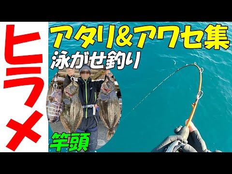 【ライトヒラメ】泳がせ釣りのアタリ＆アワセ集 岩船港史丸【ヒラメ釣り】