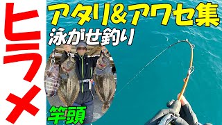 【ライトヒラメ】泳がせ釣りのアタリ＆アワセ集 岩船港史丸【ヒラメ釣り】