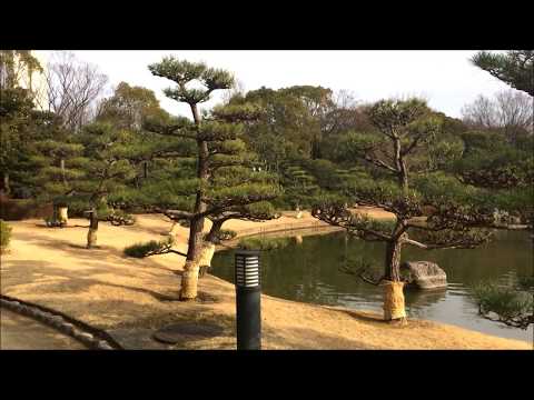 大仙公園 日本庭園