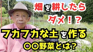 【無肥料栽培】畑を耕さないでフカフカな土を作る〇〇野菜の魅力とは？