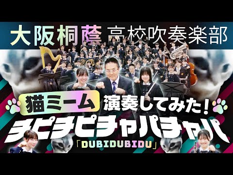 Dubidubidu（チピチピチャパチャパ）（猫ミーム）【大阪桐蔭吹奏楽部】