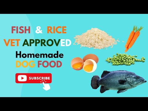 Fish and Rice Homemade vet approved easy to cook Human grade dog food | blogsbyibrar