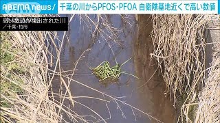 千葉・柏市の河川などで有害性指摘されるPFAS　国の暫定指針値の最大36倍検出(2024年4月16日)