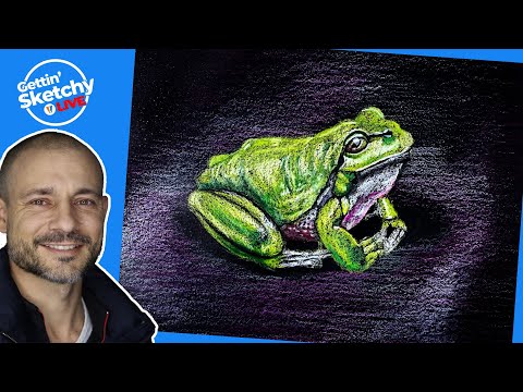 Drawing a Frog with Colored Pencils - Live Drawing Exercise