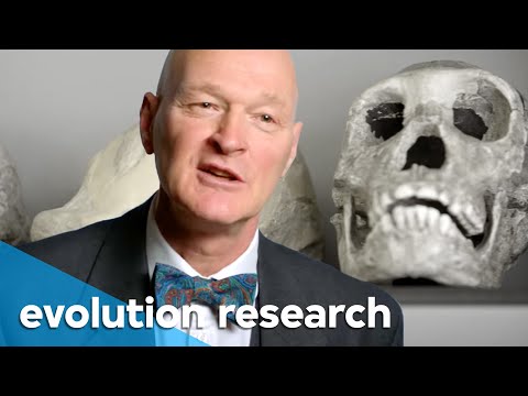 Where do we come from? | Paleontologist Fred Spoor | VPRO Documentary