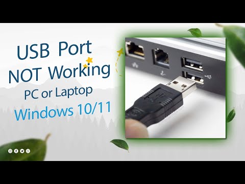 How to Fix USB Ports Not Working in Windows 10/11 in Tamil