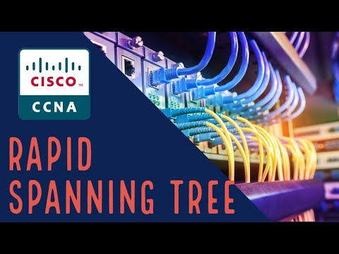 Mastering RSTP: Unveiling the Secrets of BPDU's and the Root Bridge