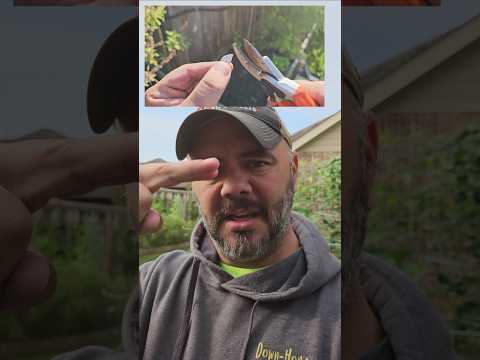 Try This Tip for Large Seeds || DHBG