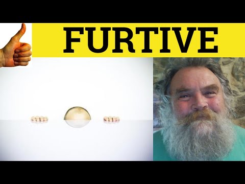 🔵Furtive Definition - Furtively Means - Furtiveness Examples - Furtive Meaning Furtively Furtiveness