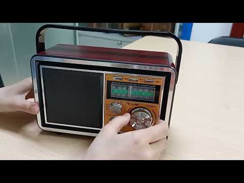 RX BT065 retro radio speaker AM FM SW radio with TF card