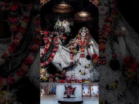 krishna Bhajan 2 ( Mashup)