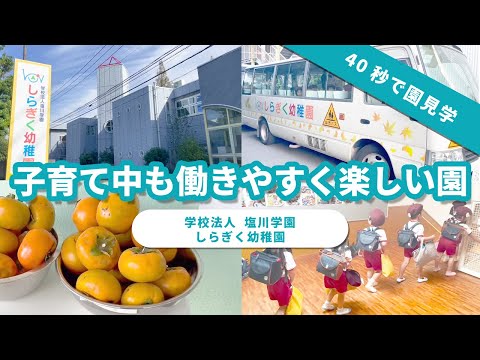 【園VLOG】子育て中も働きやすく楽しい園/学校法人塩川学園 しらぎく幼稚園