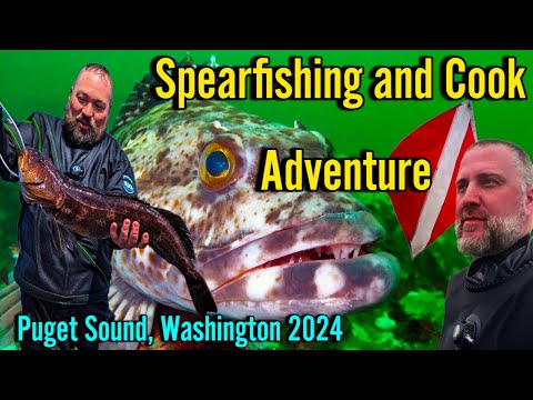 Spearfishing and Cook Adventure 2024