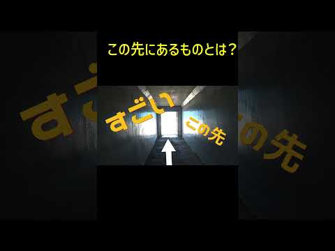 小田原　出没！アド街ック天国にでます（2月10日 (土) 21:00 ～ 21:54 テレビ東京）#shorts