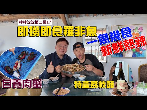 林林沈沈第二輯_17｜魚重九斤 一魚多吃｜即撈即吃羅非魚｜自養肉蟹 平靚正｜特產荔枝醋｜林以諾博士 (中文字幕)