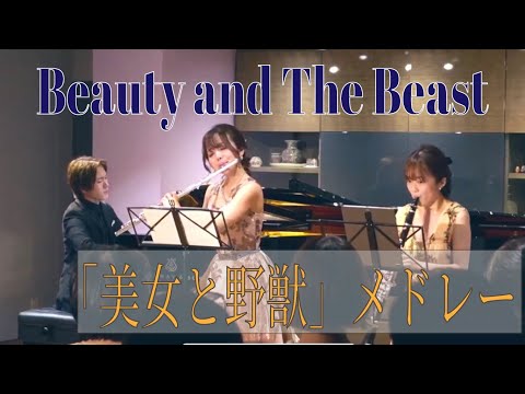 美女と野獣メドレー〜朝の風景〜ひとりぼっちの晩餐会〜美女と野獣/Beauty and The Beast【ピアノ】【フルート】【クラリネット 】