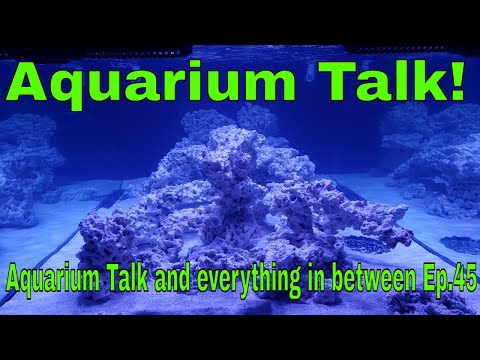 Aquarium Talk