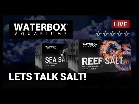 Episode 155: Lets Talk Reef and Sea Salt